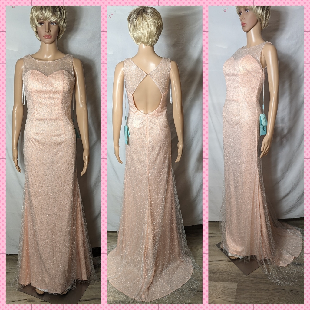 Fabuluxe Limited Edition Pink Prom Formal Fit&Flare Mini Train Gown Sz Xs New